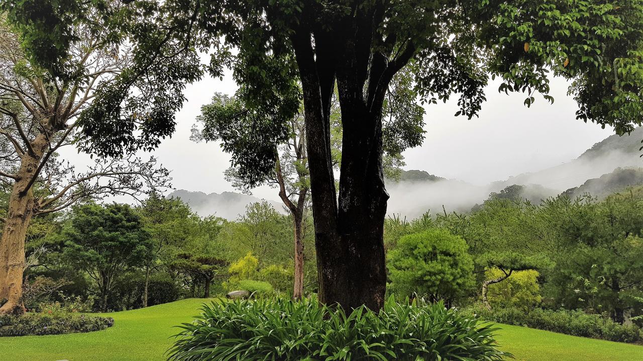 Апартаменты Around The Tree Manor Shitan Номер фото