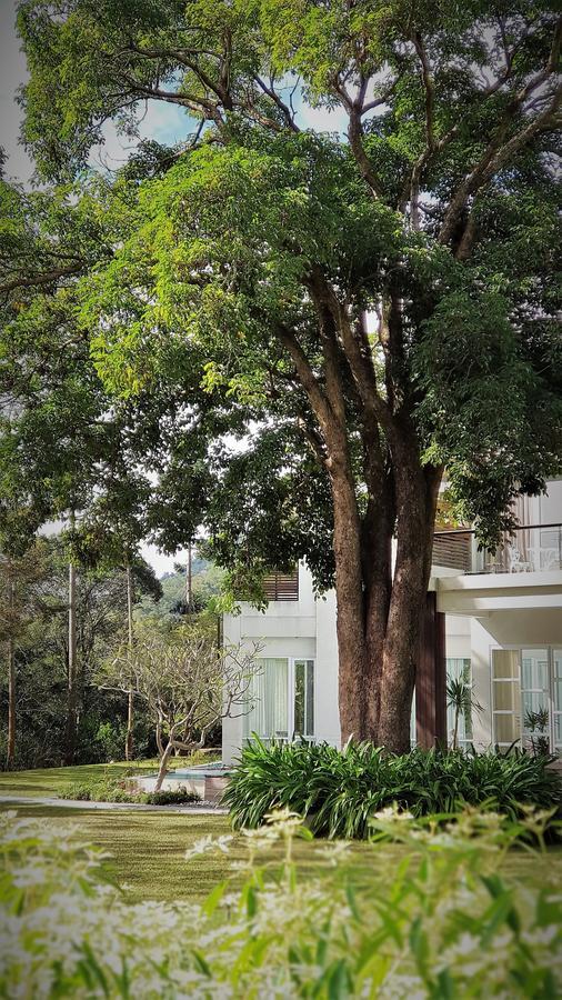Апартаменты Around The Tree Manor Shitan Номер фото