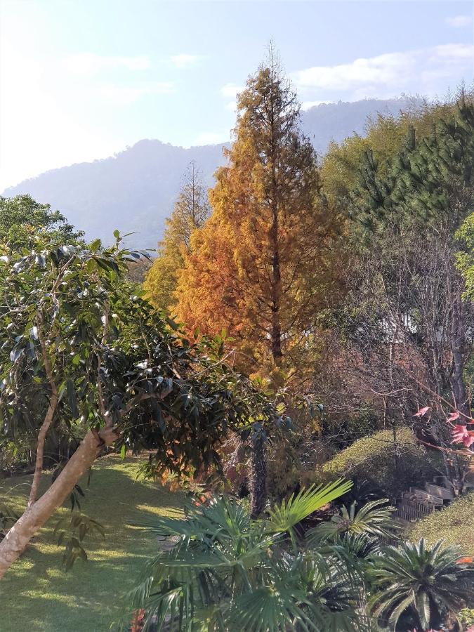 Апартаменты Around The Tree Manor Shitan Номер фото